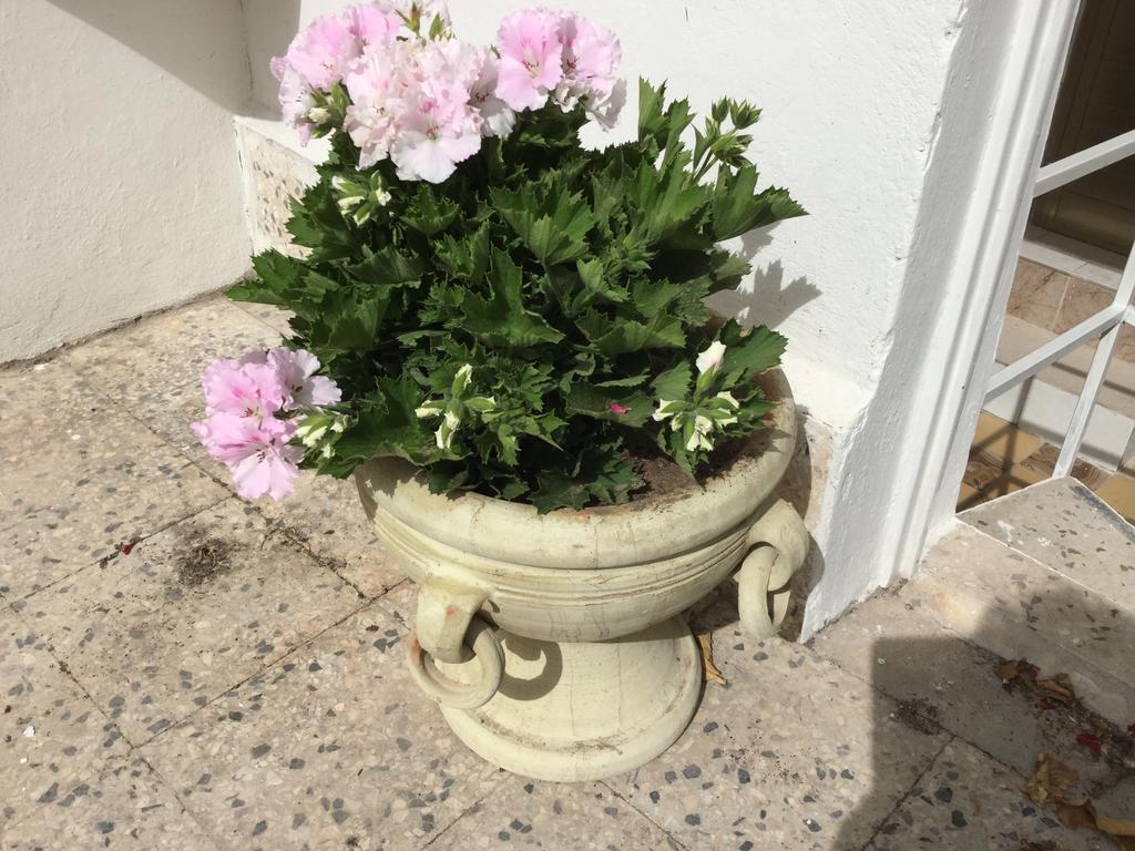 Case Vacanze Le Rose Noto Exterior foto